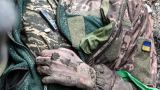 Непогребенные тела оккупантов в Курской области превратились в мумии — военкоры