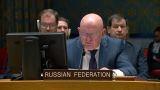 Россия предлагает украинской стороне встретиться в Стамбуле после 22 июня — Небензя